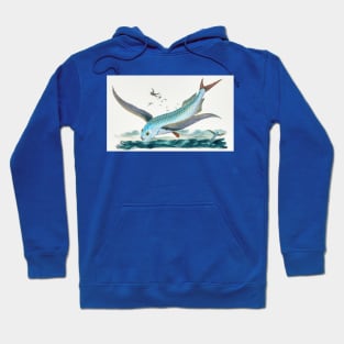 Flying Fish Hoodie